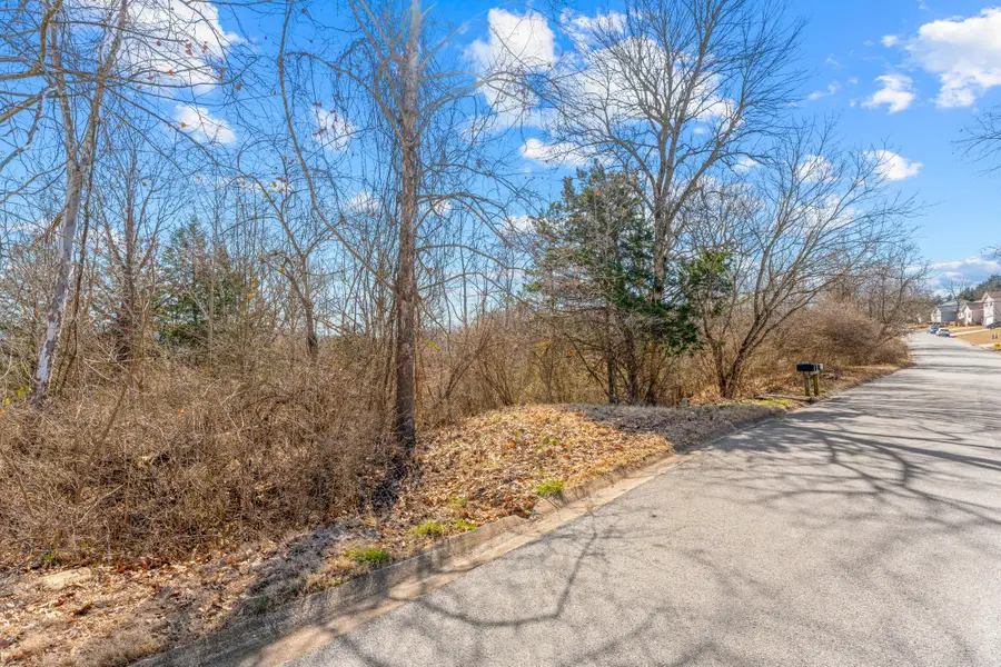 Lot 53 Eagle Drive, Forsyth, MO 65653 - Image #2