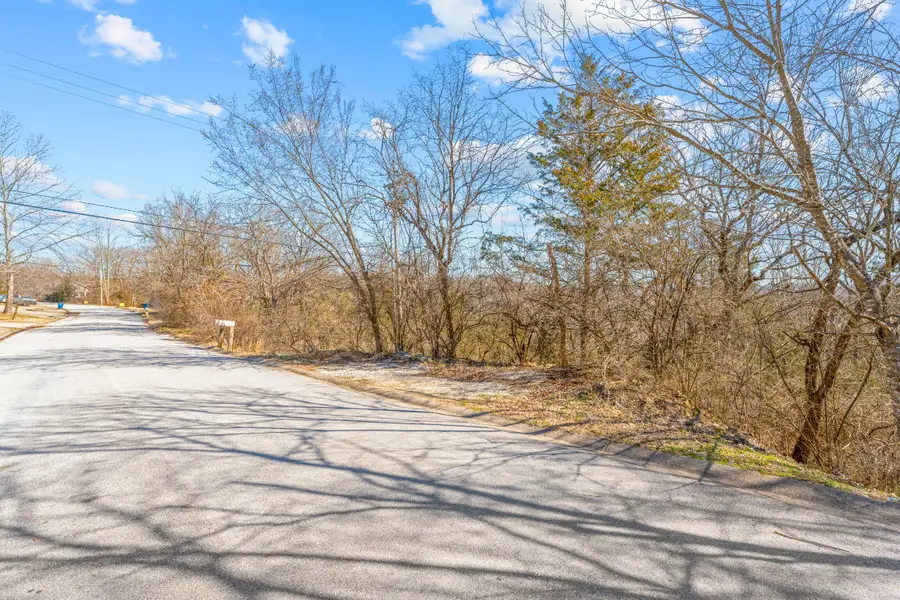 Lot 51 Eagle Drive, Forsyth, MO 65653 - Image #2