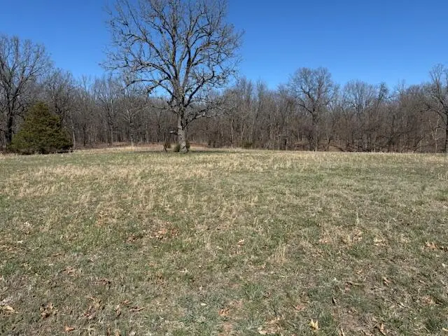 000 Tract 5 Sugar Fork Road, Goodman, MO 64843 - Image #1