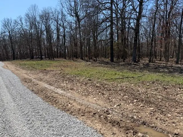000 Tract 8 Sugar Fork Road, Goodman, MO 64843 - Image #2