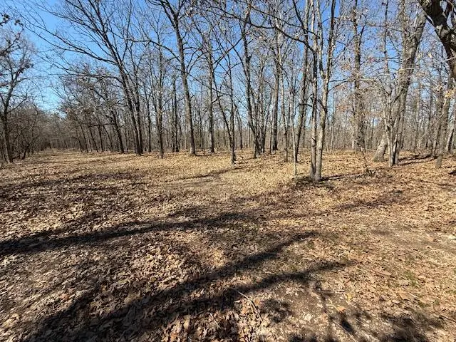 000 Tract 8 Sugar Fork Road, Goodman, MO 64843 - Image #3