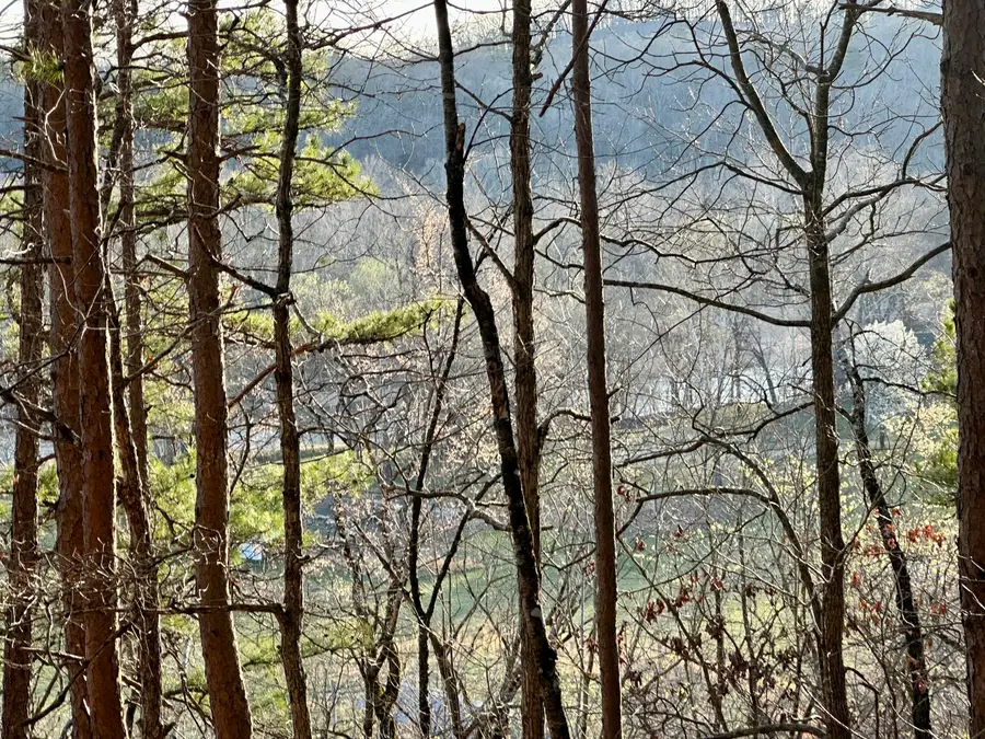 000 Brown Road, Van Buren, MO 63965 - Image #3