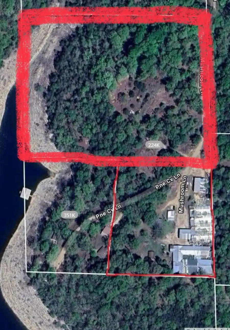 299 Mushroom Lane, Theodosia, MO 65761 - #2