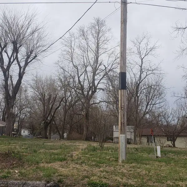 312 W 11th Street, Mountain Grove, MO 65711