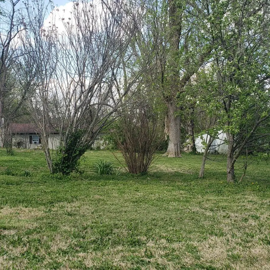 312 W 11th Street, Mountain Grove, MO 65711 - Image #2