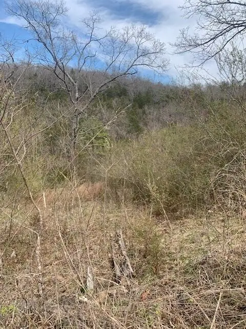 265 Lakeview Drive, Hollister, MO 65672 - Image #3