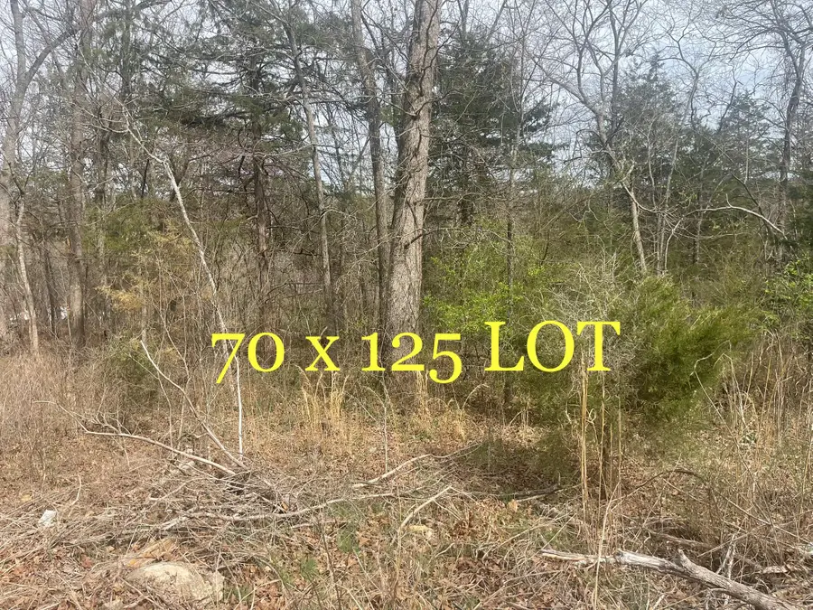 Lot 11 Mach Lane, Rockaway Beach, MO 65740 - Image #2