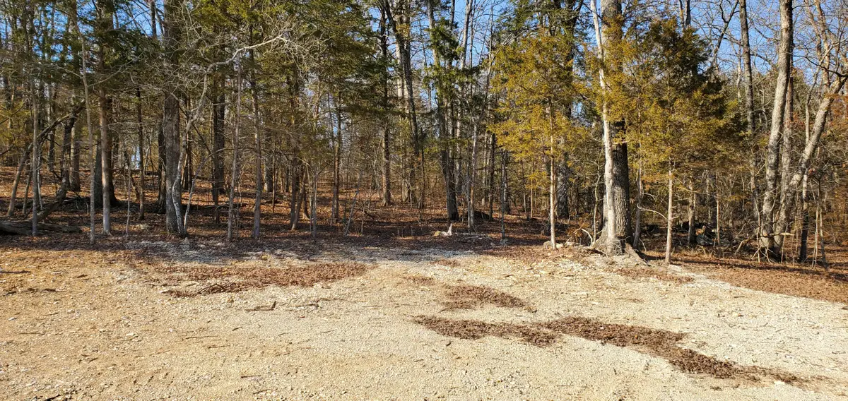 000 Lot 99 Summer Breeze Lane, Kimberling City, MO 65686 - Image #1