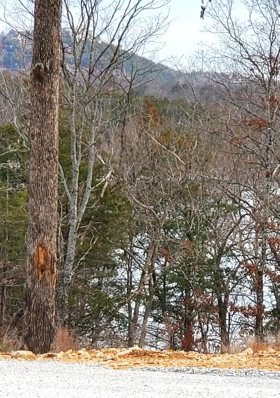 000 Lot 99 Summer Breeze Lane, Kimberling City, MO 65686 - Image #3