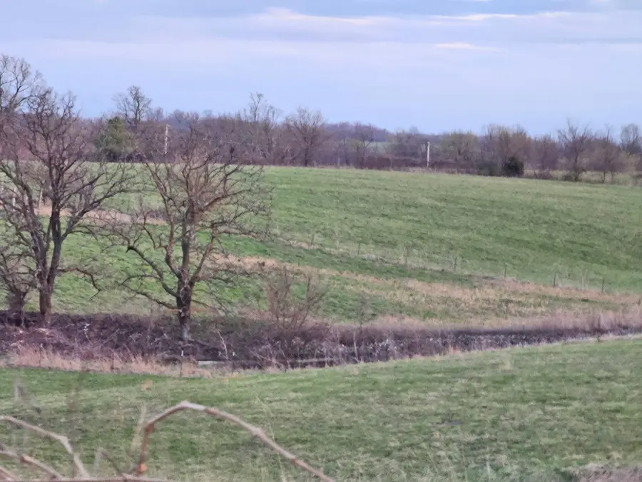 000 Farm Road 2000, Verona, MO 65769 - #2