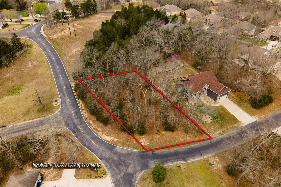 Lot 28 Crossing Drive, Branson West, MO 65737 - Image #3