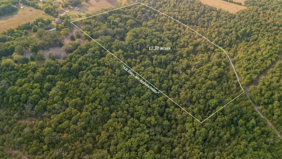 1755 State Hwy O- Tract C, Kissee Mills, MO 65680 - Image #2