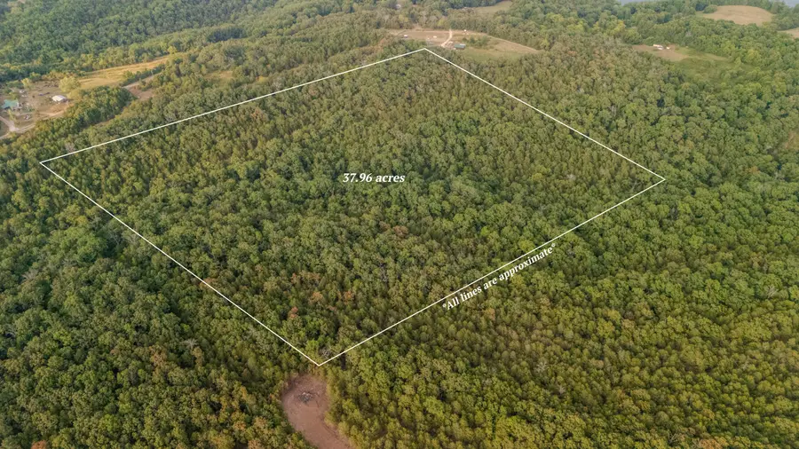 000 Sanders Rd-tract D, Kissee Mills, MO 65680 - Image #2