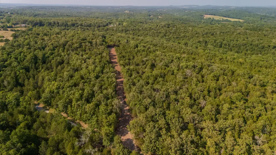 000 Sanders Rd-tract D, Kissee Mills, MO 65680 - Image #3