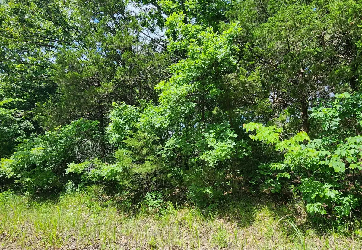 Lot 3-5 Stone Road, Merriam Woods, MO 65740 - Image #1