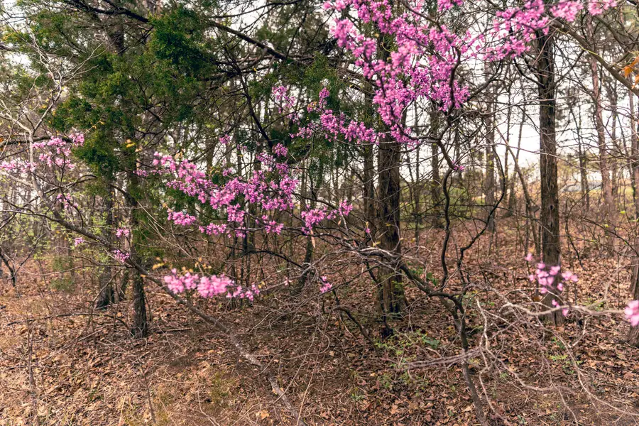 Lot 3-5 Stone Road, Merriam Woods, MO 65740 - Image #3