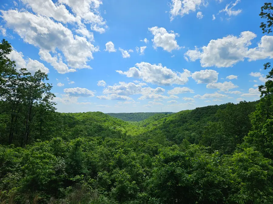 2489 Logan Ridge Road, Ozark, MO 65721 - Image #2