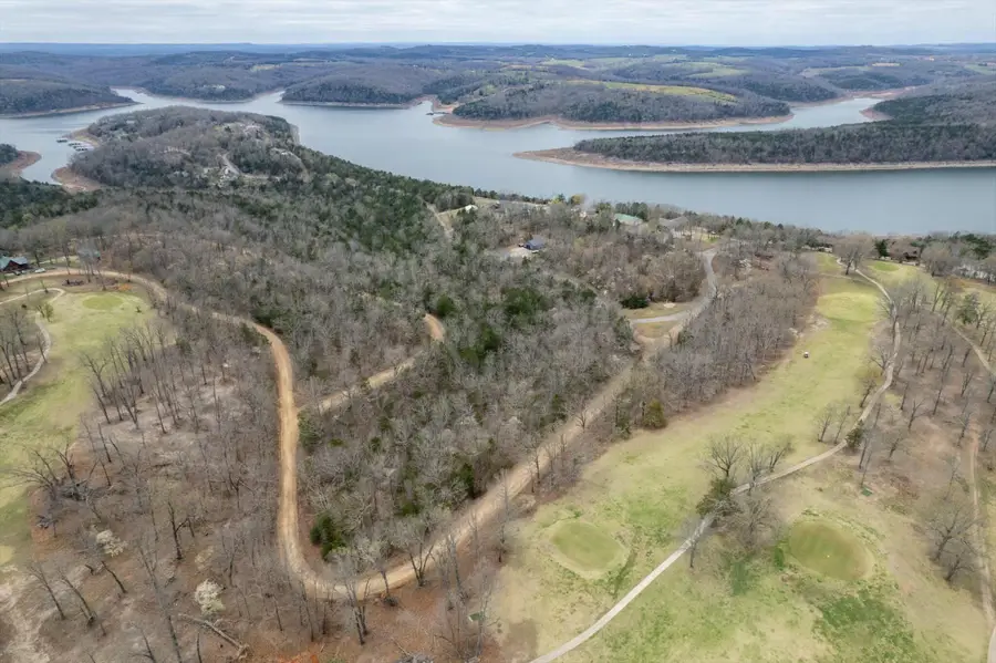 000 Country Club Drive, Theodosia, MO 65761 - Image #3