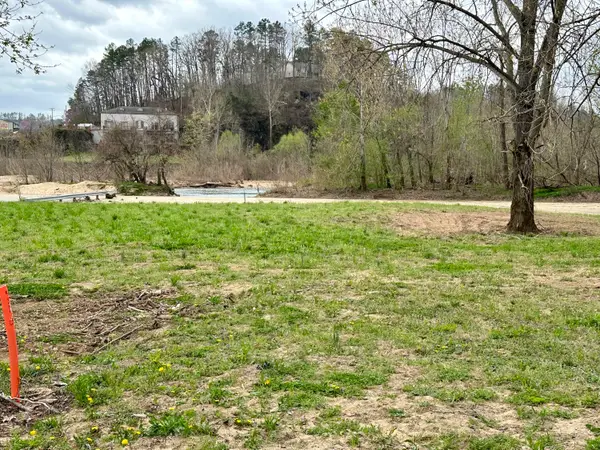 000 Lot 93 Current River Rv Park, Van Buren, MO 63965