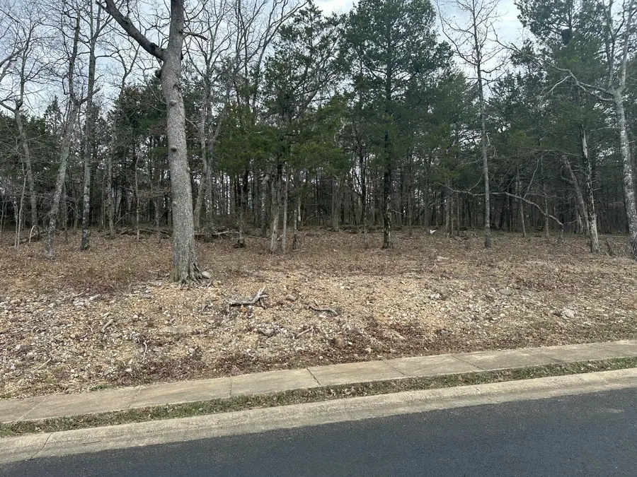 Lot 64 Royal Dornoch Drive, Branson, MO 65616 - #2