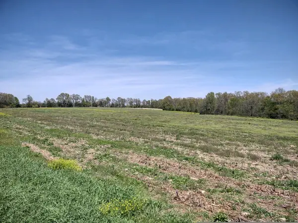 Tbd Wiseman Road #Tract 2, Marshfield, MO 65706