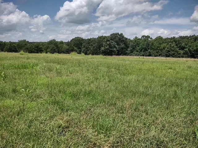 Tbd Wiseman Road #Tract 9, Marshfield, MO 65706 - Image #1