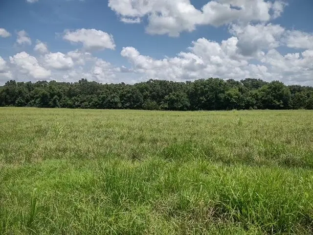 Tbd Wiseman Road #Tract 7, Marshfield, MO 65706 - Image #1