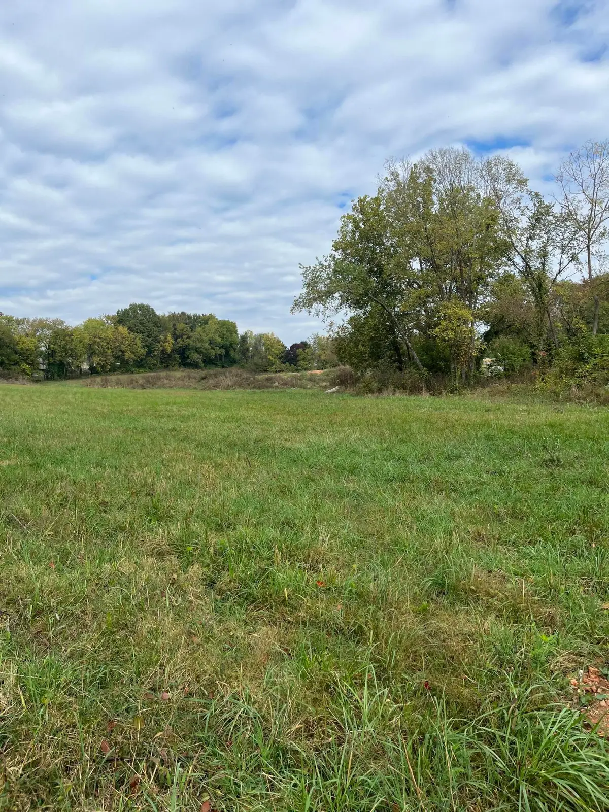 000 Luney Drive, Cassville, MO 65625 - Image #1