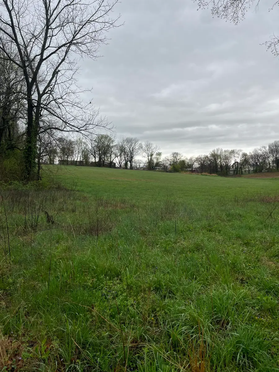 000 Luney Drive, Cassville, MO 65625 - Image #2