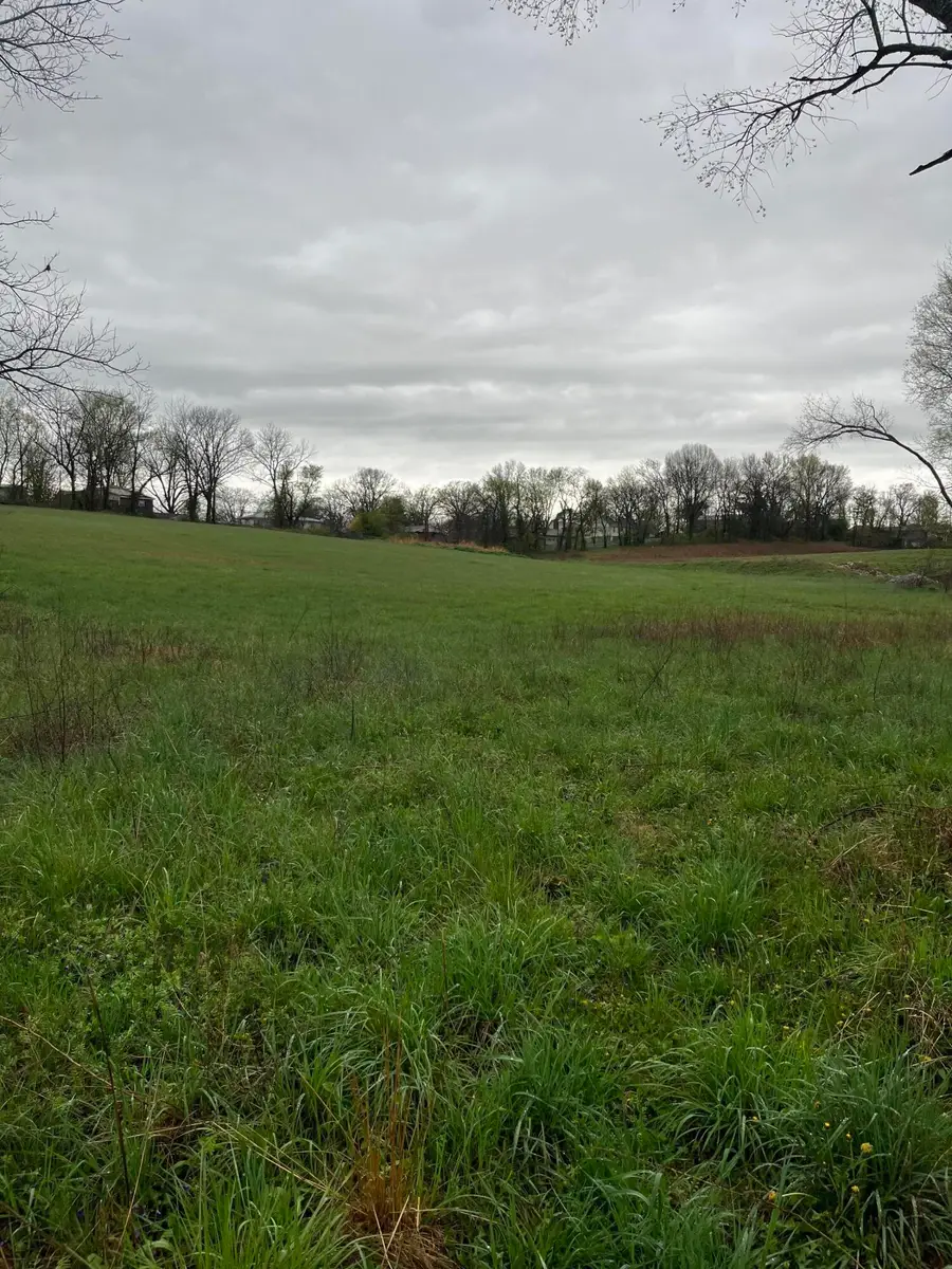 000 Luney Drive, Cassville, MO 65625 - Image #3