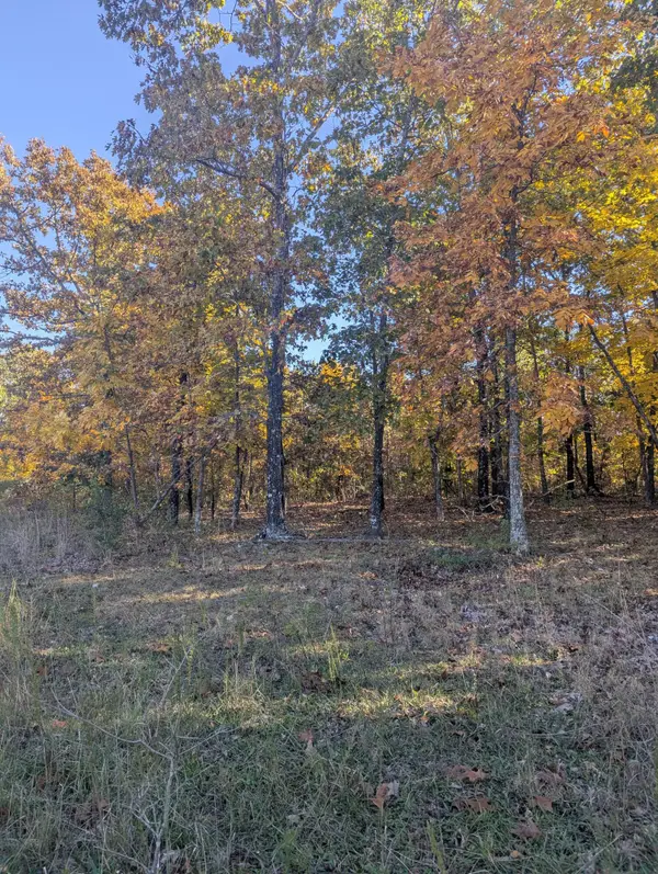 000 County Road 9160, Koshkonong, MO 65692