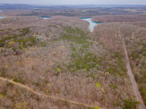 000 Tomahawk Hills #Lot 21 Blk 12, Shell Knob, MO 65747