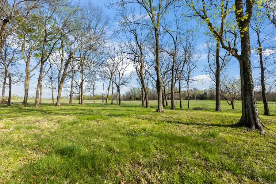 Tbd N Farm Road 23, Walnut Grove, MO 65770 - Image #2