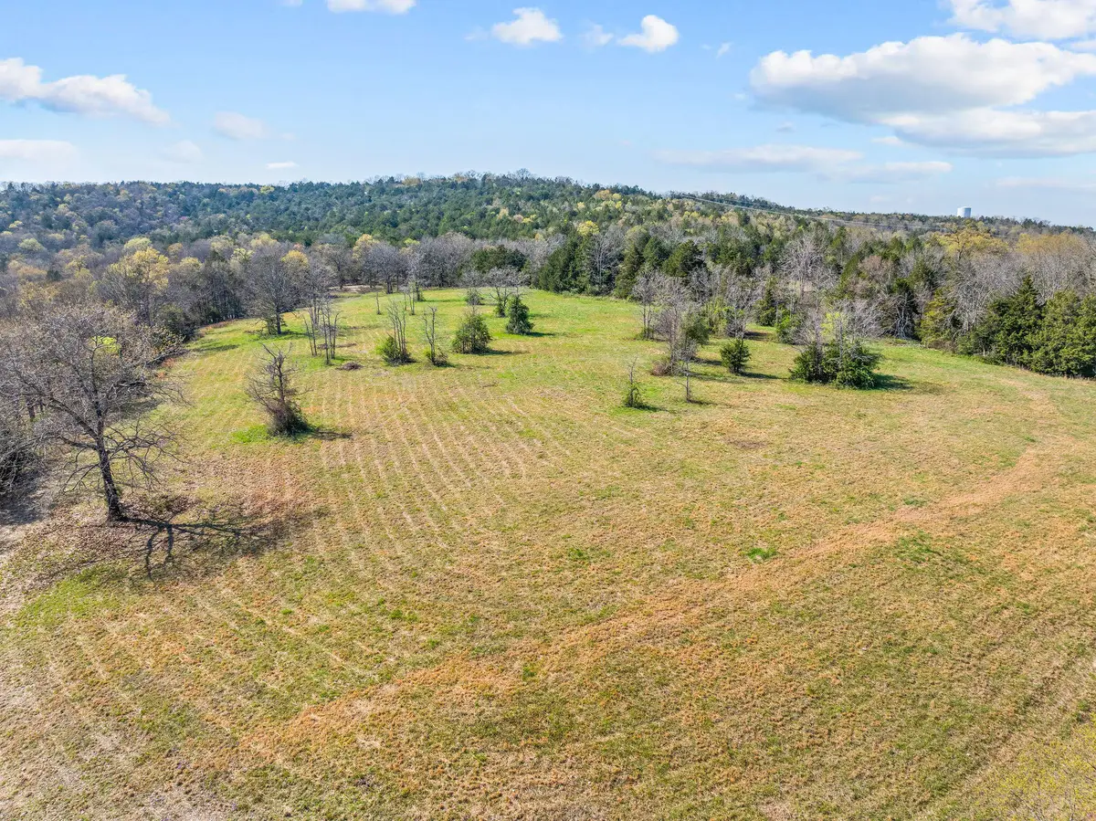 000 Tbd State Hwy J, Kirbyville, MO 65679 - Image #1