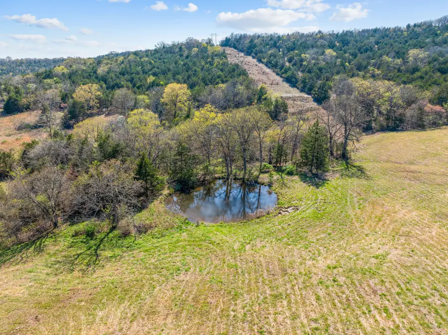 000 Tbd State Hwy J, Kirbyville, MO 65679 - Image #3