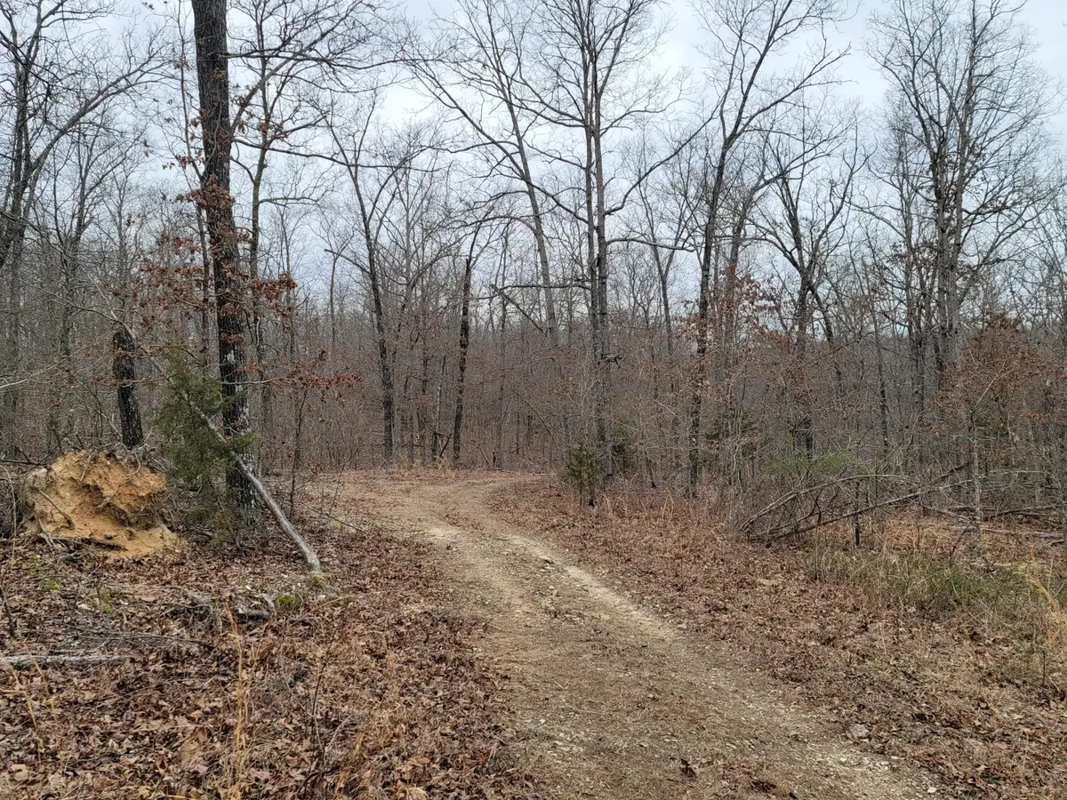 000 Ledgewood Rd, Cabool, MO 65689 - Image #1