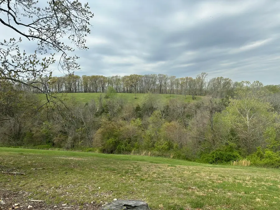 290 Newbury Road #Lot 40b, Reeds Spring, MO 65737 - Image #3