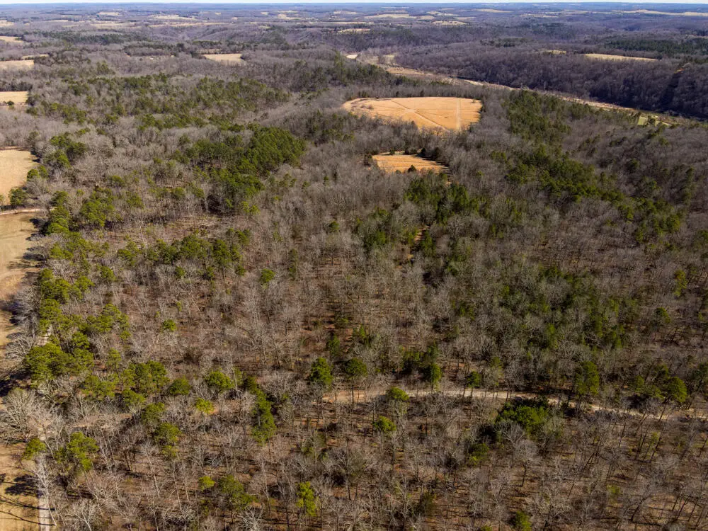 000 County Road 179, Dora, MO 65637 - Image #1