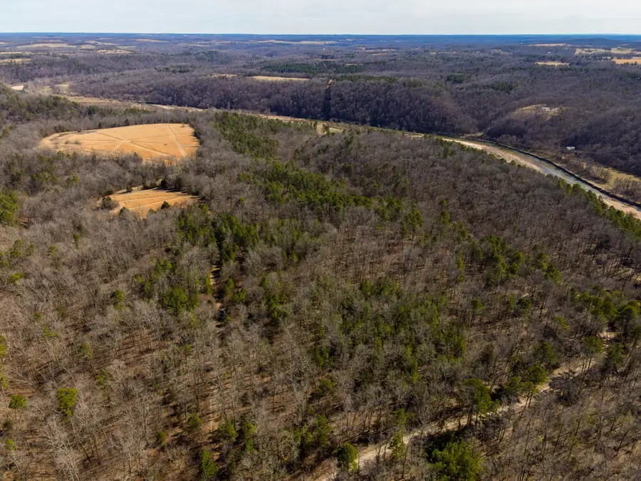 000 County Road 179, Dora, MO 65637 - Image #2