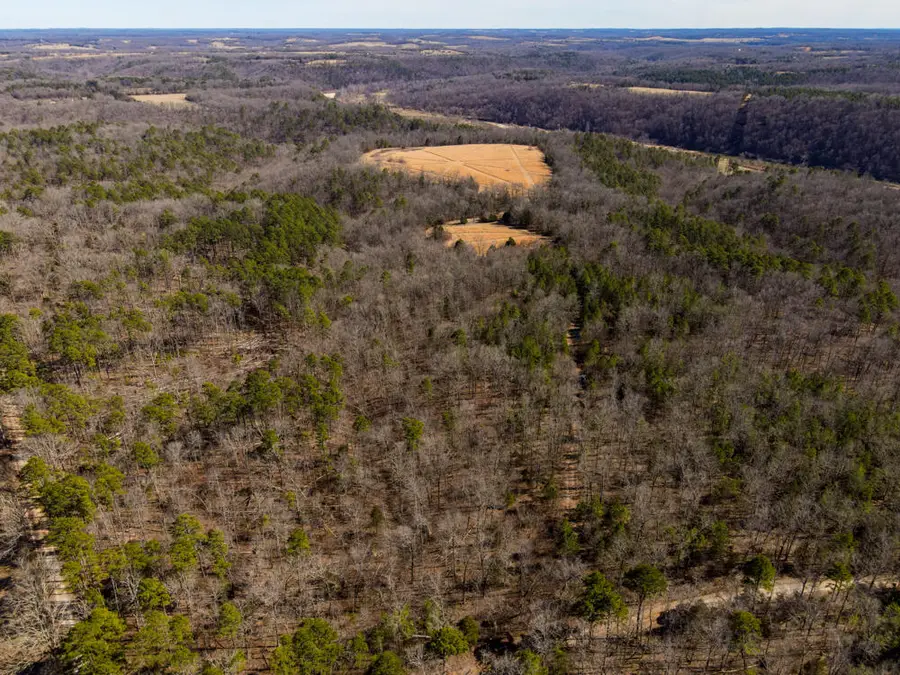 000 County Road 179, Dora, MO 65637 - Image #3