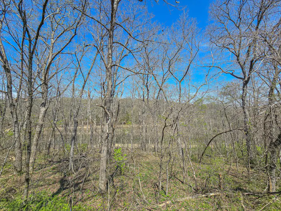 26495 County Road 331 Loop, Pittsburg, MO 65724 - Image #3