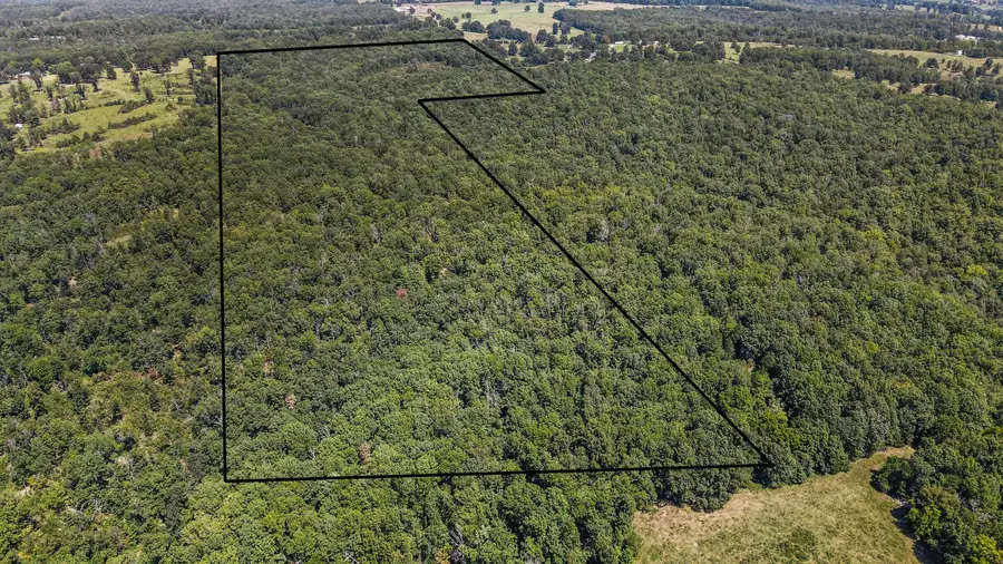 000 County Road 542, Caulfield, MO 65626 - Image #2