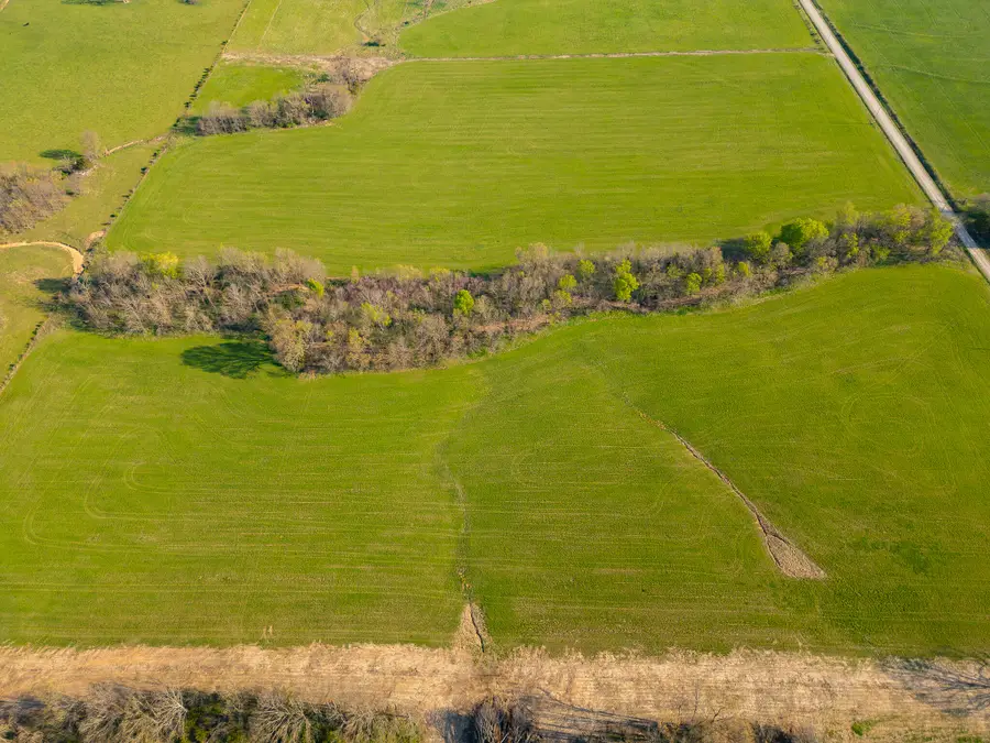 000 County Trails Rd, Conway, MO 65632 - Image #2