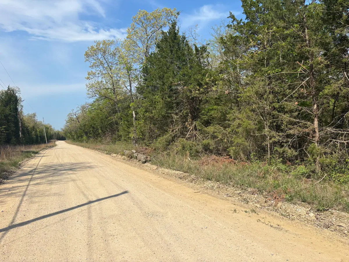 000 County Road 644, Theodosia, MO 65761 - Image #1