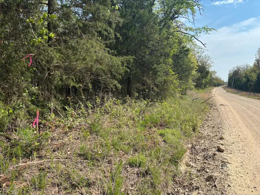 000 County Road 644, Theodosia, MO 65761 - Image #2