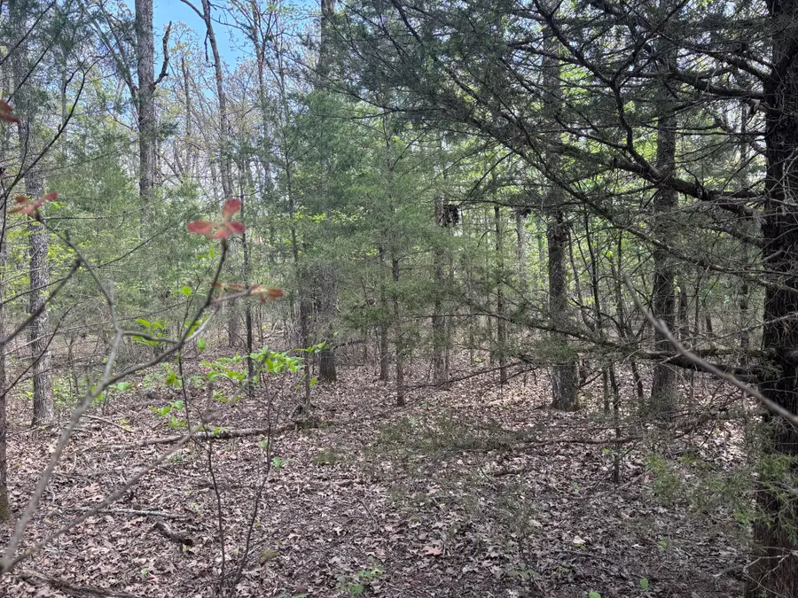 000 County Road 644, Theodosia, MO 65761 - Image #3