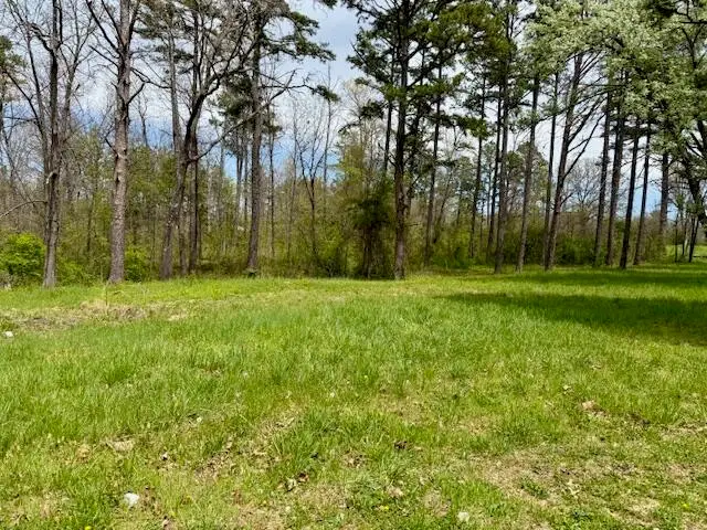 8584 Mily Street, Winona, MO 65588 - Image #2