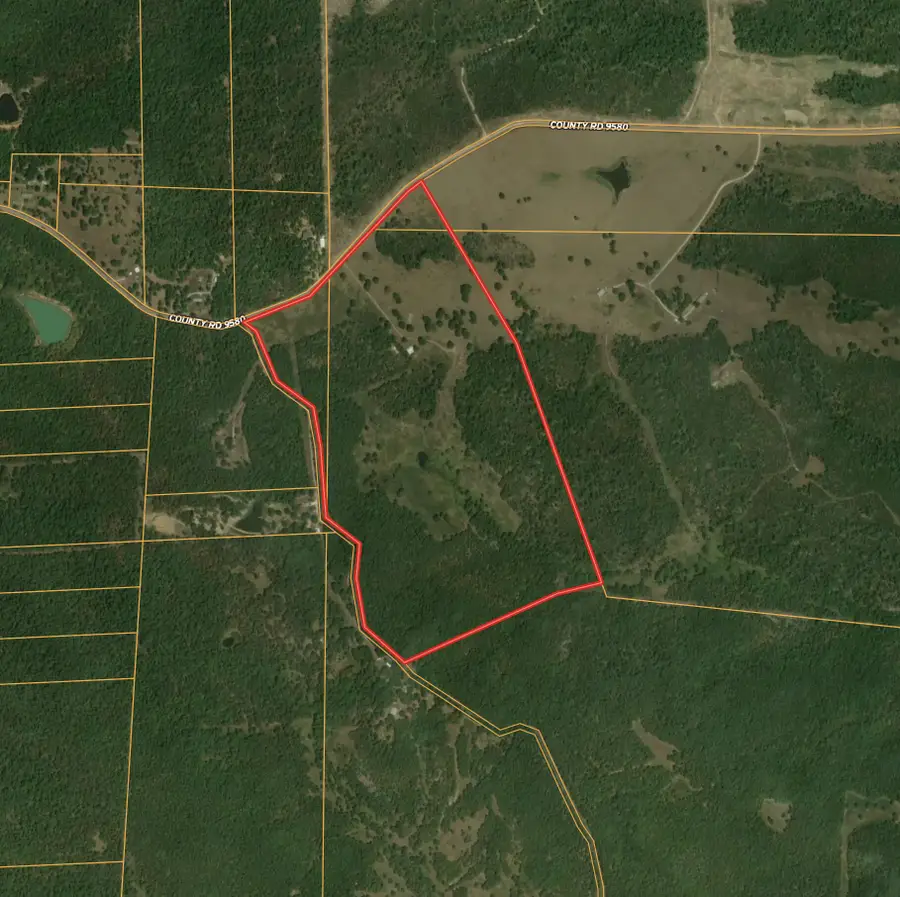 7260 County Road 9580, West Plains, MO 65775 - Image #2