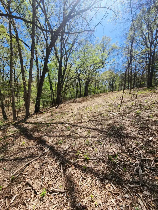 000 Danica Lane, Galena, MO 65656