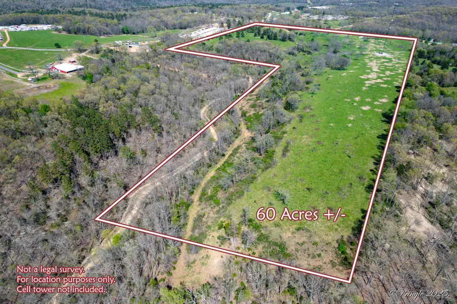 000 County Road 350, Caulfield, MO 65626 - #2